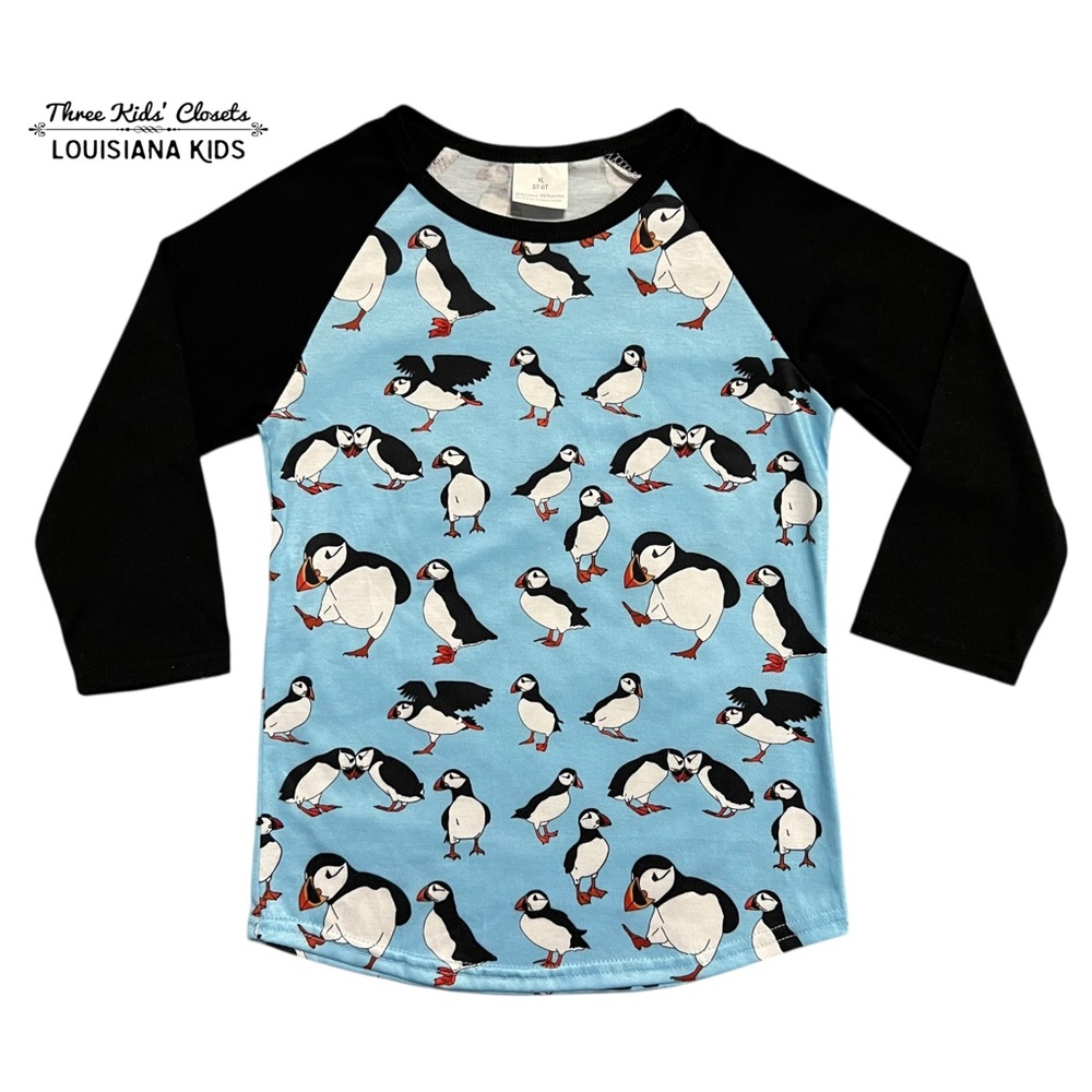 Small Shop 5T-6T Puffin Print Raglan Shirt
